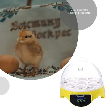 7 Olu Inkubators Putnu Olu Inkubatoru, Pusautomātiskā Miniatūru Olu Inkubators Baložu Sadzīves Inkubatori