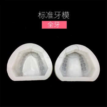 2pc/set Zobārstniecības Ģipša Modeli Pelējuma, Pelējums, no Edentulous Žokļa Pilnīgu Dobumā Bloka Pilnu zobu