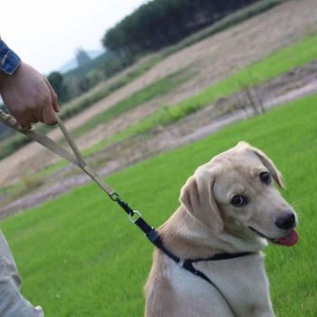 Suns Pavadā 1000D Neilona Taktiskā Militārā Policija Suņu Siksna Elastīgs Pet Collars Multicolor PC975816