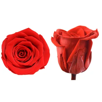 4-5CM/8pcs A Kategorijas Konservēti Erernal rožu ziedu galvas,Nekustamā uz visiem Laikiem Rozes Kāzu mājas Dekorēšanas piederumi,dāvanu labu
