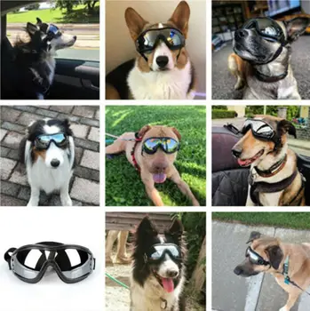 ASV Pet Suns, UV Saulesbrilles, Saules Brilles Brilles, Aizsargbrilles Acu Valkāt Aizsardzības Modes