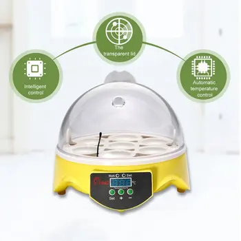 Mini 7 Olu Automātiskā Inkubators Mājputnu Inkubatoru Brooder Digitālo Temperatūras Inkubācijas Olu Inkubatoru Vistu, Pīļu Putnu