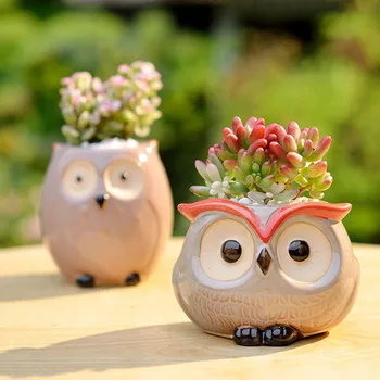 Strongwell Pasaku Dārzs Apdares Keramikas Ziedu Pos Cute Pūce Miniatūra Sulīgs Ziedu Pods, Poda Darbvirsmas Rotājumi