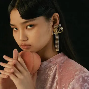 Jaunā Ilgi Fringed Metāla ar Mākslīgas Pērles Acu Modes Personības Temperaments Puse Auskari moda ir 2021. korejas auskari