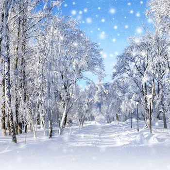 Laeacco Ziemas Sniega Priežu Meža Sniegpārslas Tapetes Dabas Scenic Foto Fona Foto Fons, Photocall Foto Stuido