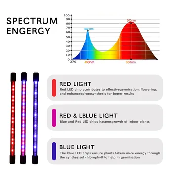 LED Augt Gaismas USB Lampa Pilnu Spektru Ar Kontroles Augi Dēsti Ziedu Iekštelpu Fitolamp Augt Lodziņā led gaismas ar tālvadības