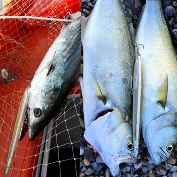 Medības māja 2019 jaunu grimstoša zvejas vilinājums grūti zīmuli zvejas ēsmas 180mm TŪBĪTES SĒRFOT WALKER adatu peldošas zivis