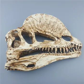 MRZOOT 2018 Top Modes Tiešās Pārdošanas Sveķu Dinozauru Skeletu Modelis Dubultā Vainagojušies Pūķis Galvaskausa Dzīvnieku Pētniecības Mācību