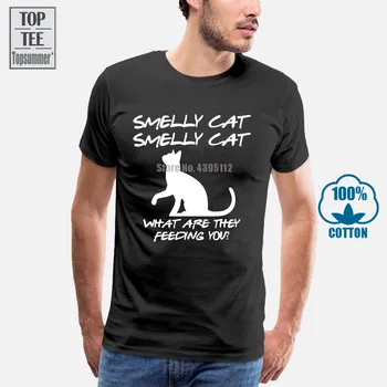 Smirdošs Kaķis Vīriešu T-Krekls Smieklīgi Draugiem Dizaina Modes Retro Phoebe Central Perk