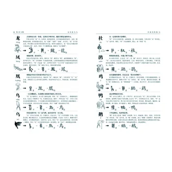 Ķīniešu Rakstura Grāmatas Iesācējiem, Viegli Mācību 1000 Ķīniešu Rakstzīmes Ar Grafikas Attēlus Libros Livros Livres