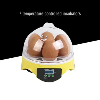 7 Olu Inkubators Putnu Olu Inkubatoru, Pusautomātiskā Miniatūru Olu Inkubators Baložu Sadzīves Inkubatori