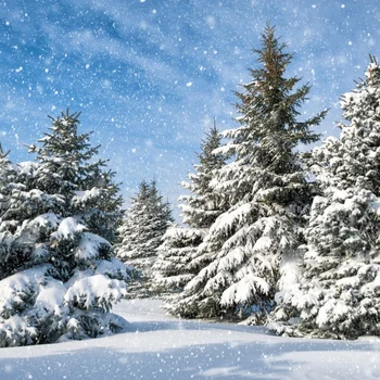 Laeacco Ziemas Sniega Priežu Meža Sniegpārslas Tapetes Dabas Scenic Foto Fona Foto Fons, Photocall Foto Stuido