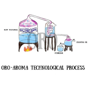 Oroaroma Slavenu zīmolu bezmaksas piegāde dabiskā aromterapija Kaņepju sēklu ēteriskā eļļa, Ziepes materiālu bāze pārvadātājs Kaņepju sēklu eļļa